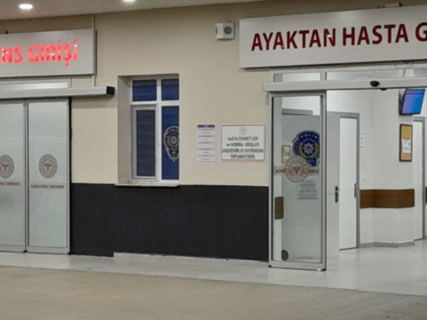 Türkiyədə kütləvi zəhərlənmə olub