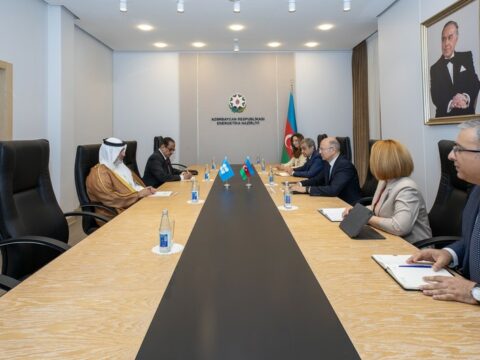 “Karbon emissiyalarının azaldılması dayanıqlı enerji təhlükəsizliyi üçün vacibdir”