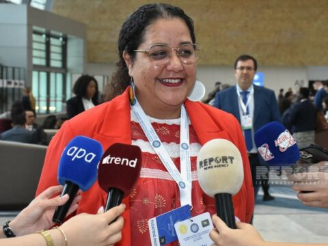 “Prezident İlham Əliyevin Fransanın müstəmləkəçilik siyasəti ilə bağlı dedikləri həqiqətdir”