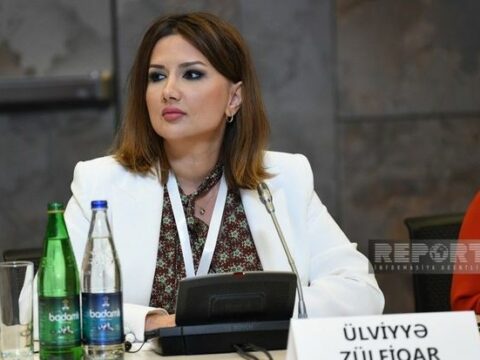 “Qərbi azərbaycanlılar da kolonializmdən əziyyət çəkiblər”