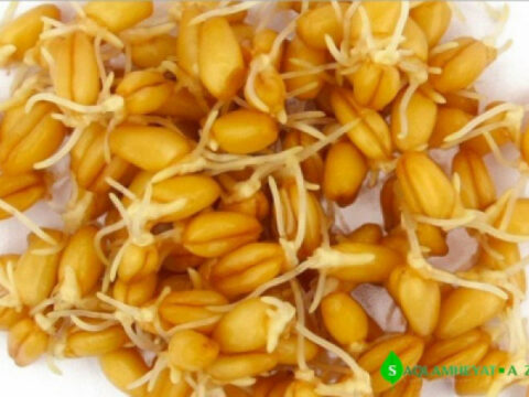 Xərçəngi sağaldan möhtəşəm təbii resept