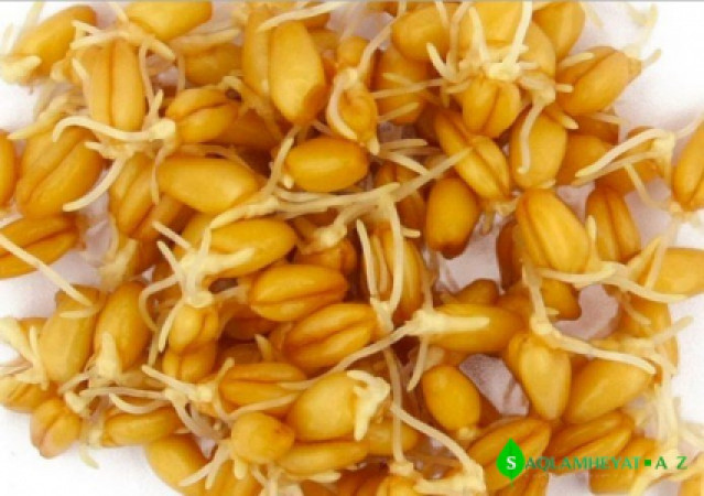 Xərçəngi sağaldan möhtəşəm təbii resept