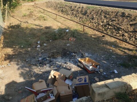 Masallıda ətraf mühiti məişət tullantıları ilə zibilləyən şəxslər barəsində tədbirlər görülüb