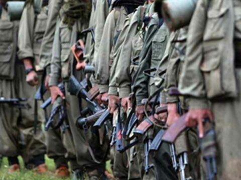 PKK liderlərindən biri ZƏRƏRSİZLƏŞDİRİLDİ