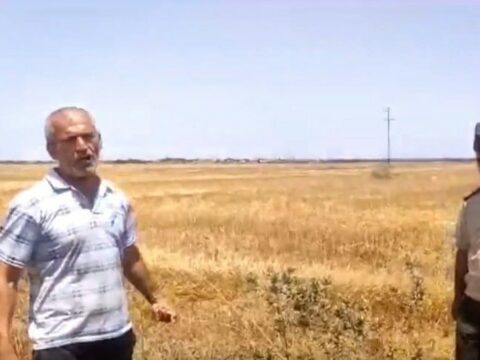 Masallıda taxıl sahəsinin xüsusi qurğu vasitəsilə qəsdən yandırılması faktı aşkarlanıb