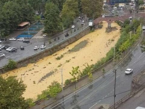 Ermənistanın törətdiyi ekoloji fəlakət: Azərbaycan vətəndaş cəmiyyətinin təşəbbüsləri rezonans yaradıb