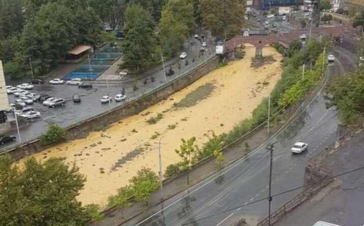Ermənistanın törətdiyi ekoloji fəlakət: Azərbaycan vətəndaş cəmiyyətinin təşəbbüsləri rezonans yaradıb