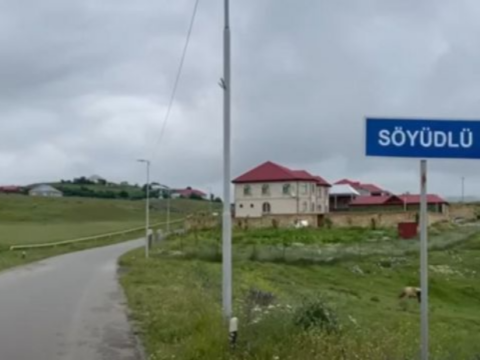 Söyüdlü ilə bağlı təkliflər HAZIRLANDI