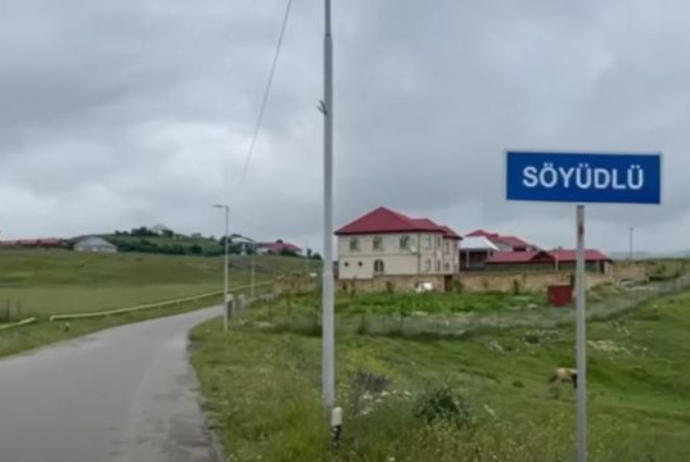 Söyüdlü ilə bağlı təkliflər HAZIRLANDI