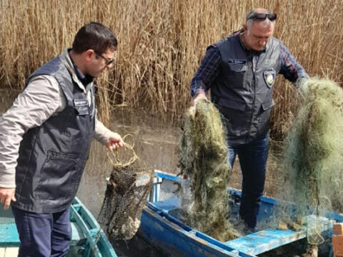 Qanunsuz ov edənlər cəzalandırıldı