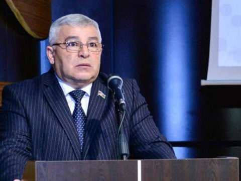 “Minlərlə azərbaycanlının aqibətini heçə sayanlar bir dığaya görə dünyanı ayağa qaldırıb”