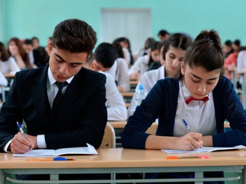 Lisey və gimnaziyalara sənəd qəbulu başladı