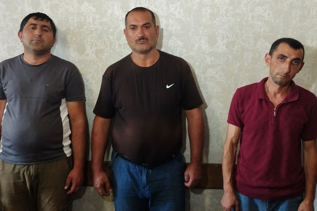 Şamaxıda xəstə atları kəsib satmaq istəyən şəxslər saxlanılıblar