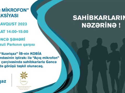 Sahibkarlarla növbəti görüş Gəncə şəhərində keçiriləcək