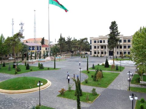 Biləsuvarda susuzluğa davamlı bitkilərin becərilməsinə başlanılıb
