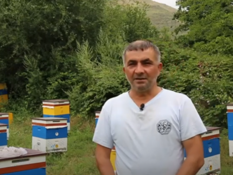 Öz təsərrüfatlarını doğma yurdda inkişaf etdirirlər