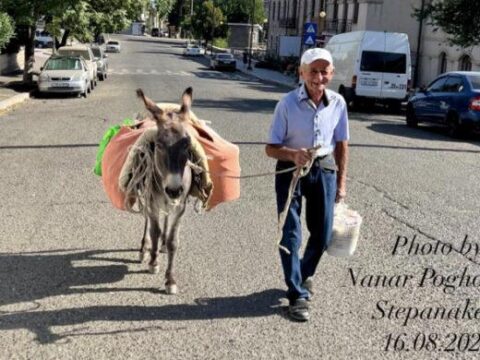 Guya Xankəndinə eşşəklə gəlirlər…-“Eşşək palçığa batdığı yerdən bir də keçmir”…-FOTO