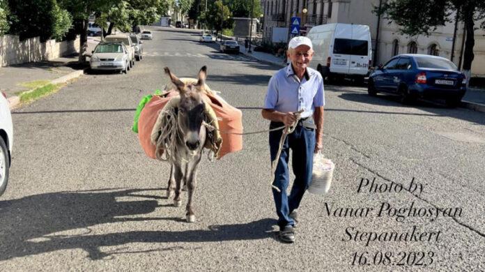 Guya Xankəndinə eşşəklə gəlirlər…-“Eşşək palçığa batdığı yerdən bir də keçmir”…-FOTO