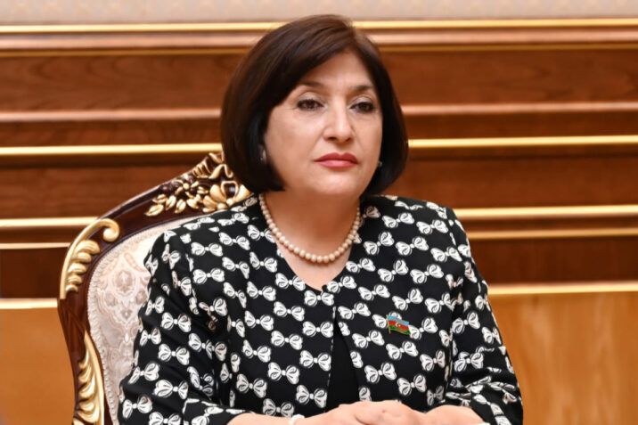 Sahibə Qafarova Slovakiya Milli Şurasının sədri ilə görüşüb