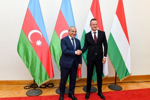 Azərbaycan Macarıstanla yaşıl enerji layihələrini müzakirə edib