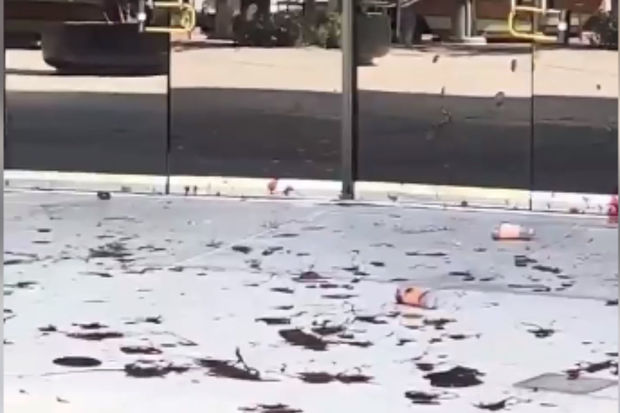 Ermənilər Azərbaycanın Los-Ancelesdəki konsulluğunun binasının qarşısında təxribat törədiblər