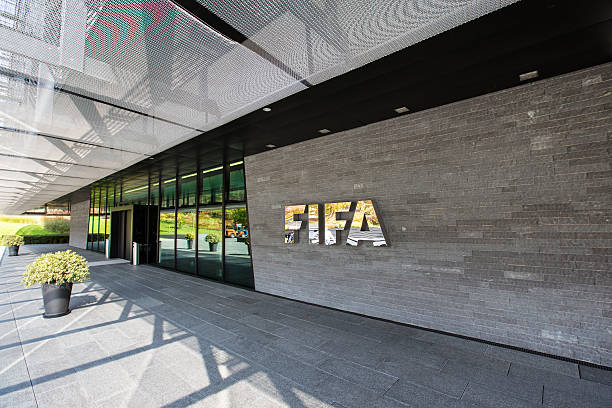 FİFA agenti imtahanının xərclərini AFFA qarşılayıb