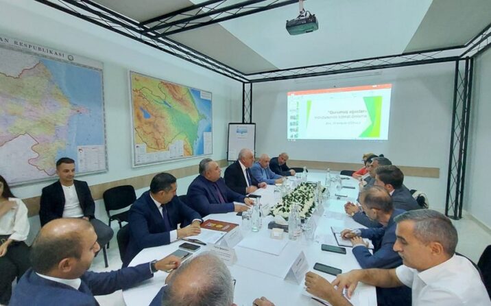 Bakı üzrə 200-dən artıq qurumuş və qəzalı ağacın götürülməsinə dair ictimai dinləmə keçirilib