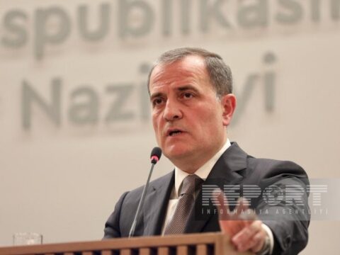 “Qondarma rejim təxminən 480 km. ərazini minalayıb”