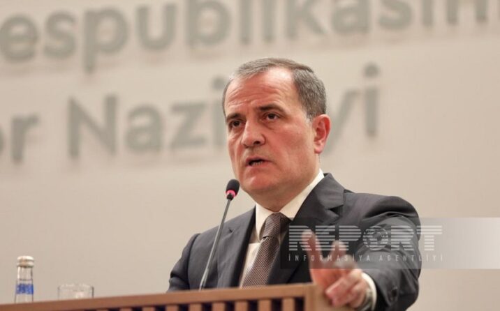 “Qondarma rejim təxminən 480 km. ərazini minalayıb”