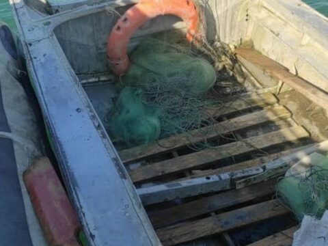 Neftçalada qanunsuz balıq ovu ilə məşğul olan şəxs saxlanılıb