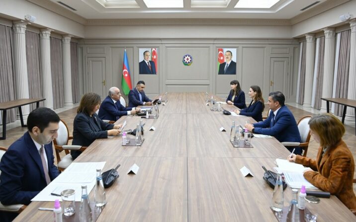 Baş nazir UNICEF-in Avropa və Mərkəzi Asiya üzrə regional direktoru ilə görüşüb