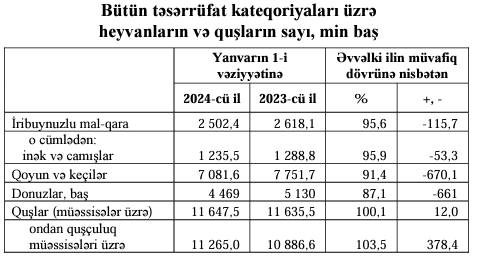 Azərbaycanda inək və camışların, qoyun və keçilərin sayı AZALIB