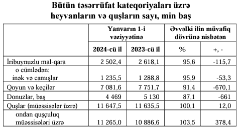 Azərbaycanda inək və camışların, qoyun və keçilərin sayı AZALIB