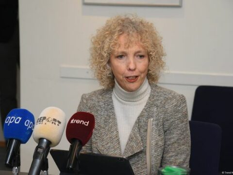 “Almaniya COP29 çərçivəsində Azərbaycanla çalışmağa hazırdır”