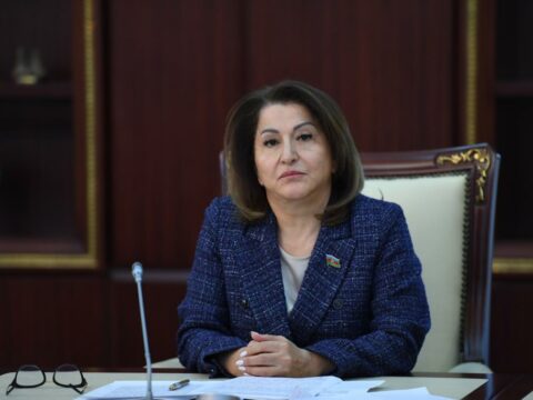 “Prezident İlham Əliyev Martin Çunqonqla görüşündə Avropa Şurasının qərəzli mövqeyini ifşa edib”