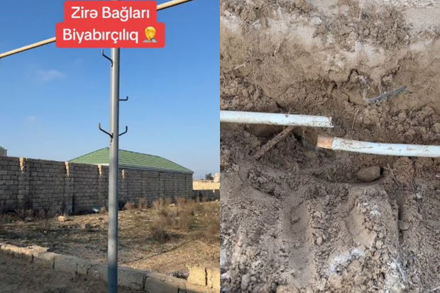 Zirə bağlarında narazılıq: Suyu internetə “dəyişdilər”