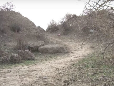 Sumqayıtda ürəktutma keçirən kişi dərəyə yuvarlandı