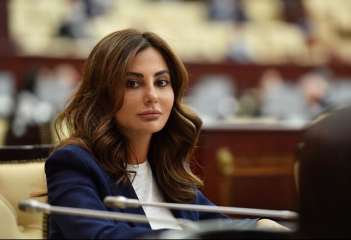 “Şuşa türk dünyasının kollektiv təhlükəsizliyinin əsası qoyulan şəhərdir”