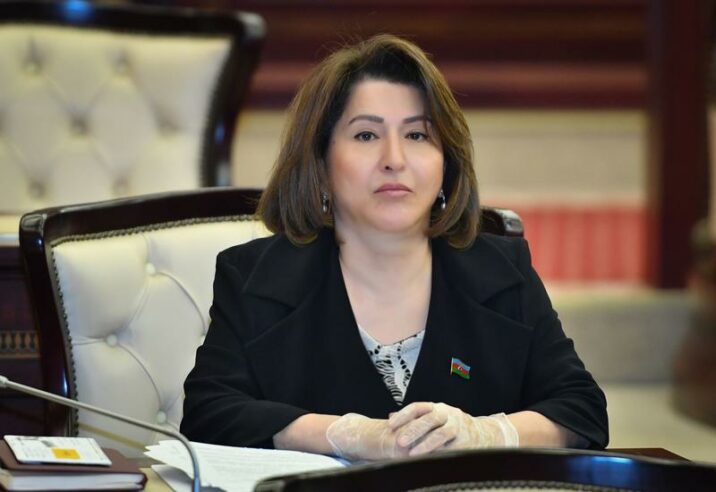 “Millət vəkili fəal, seçicilərlə daim təmasda olmasa siyasi- iqtisadi islahatlarla ayaqlaşa bilməz”