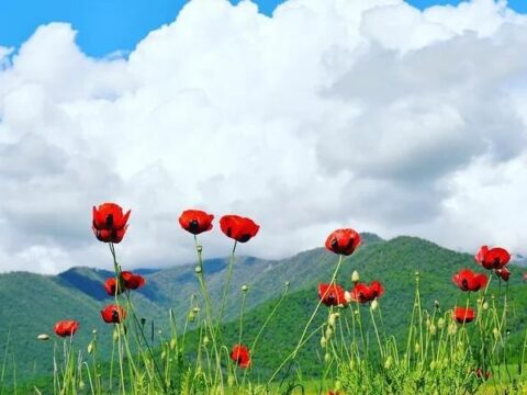 Sabah 30 dərəcə isti olacaq