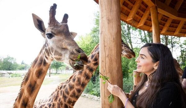 Leyla Əliyeva Berlin zooparkında – Foto