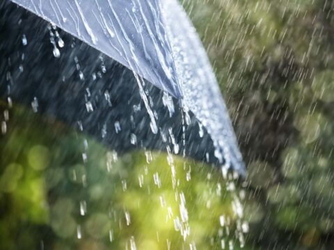Ölkə ərazisində yağıntılı və küləkli hava davam edir