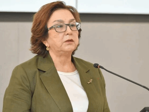 Buraxılış imtahanında bu tətbiq edilə bilər – DİM sədri