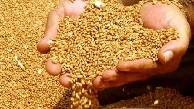 Buğdanın tədarük qiyməti ilə bağlı – Sərəncam