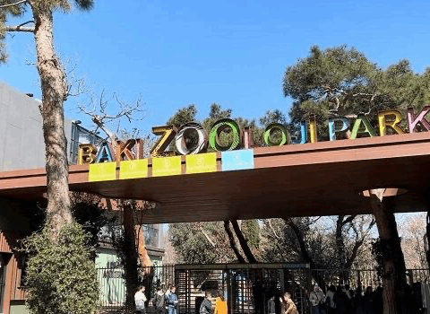 Bakı Zooparkı ləğv edilir