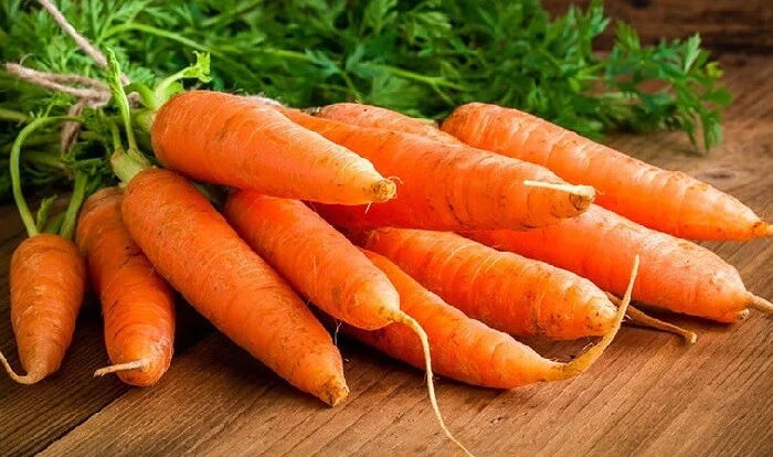 Alimlər kökün ömrü uzatdığını sübut etdilər