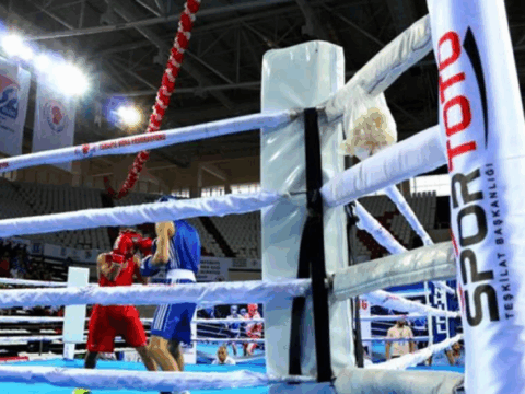 Azərbaycan boksçuları Gürcüstanda 13 medal qazandı