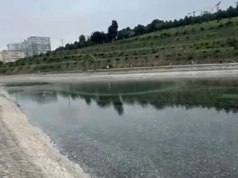 Xətaidə növbəti ağacəkmə aksiyası keçirildi- Fotolar