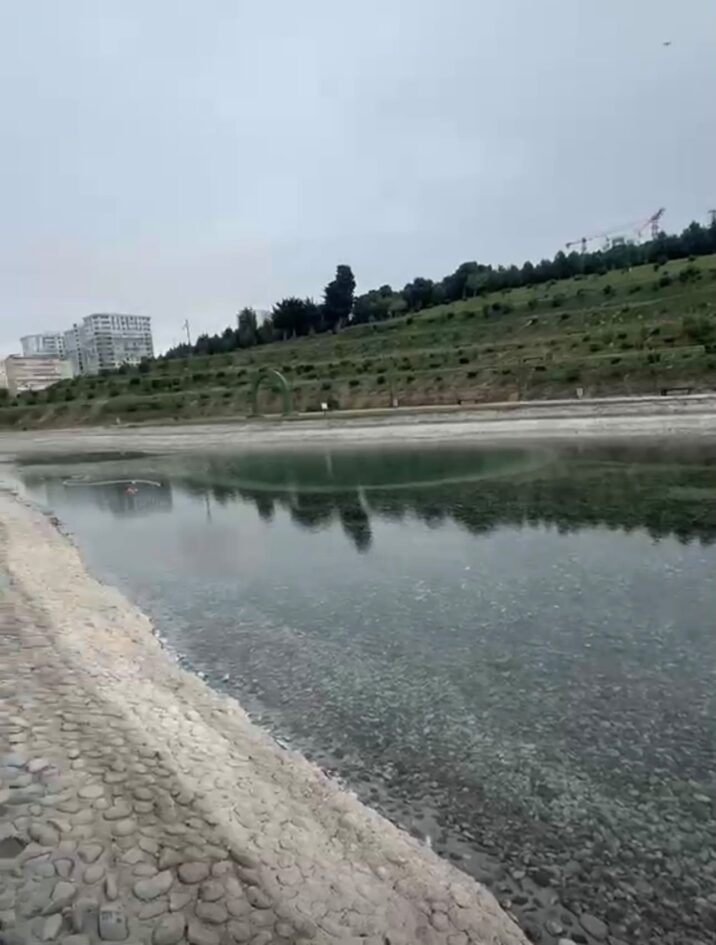 Xətaidə növbəti ağacəkmə aksiyası keçirildi- Fotolar