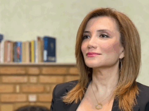 Gültəkin Hacıbəyli Azərbaycana deportasiya edildi